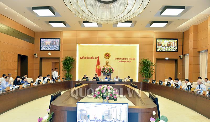 Cần quan tâm nhiều hơn đến các doanh nghiệp trong nước 